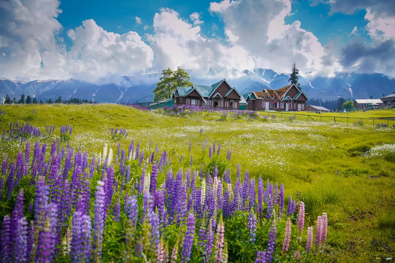 Kashmir landscape