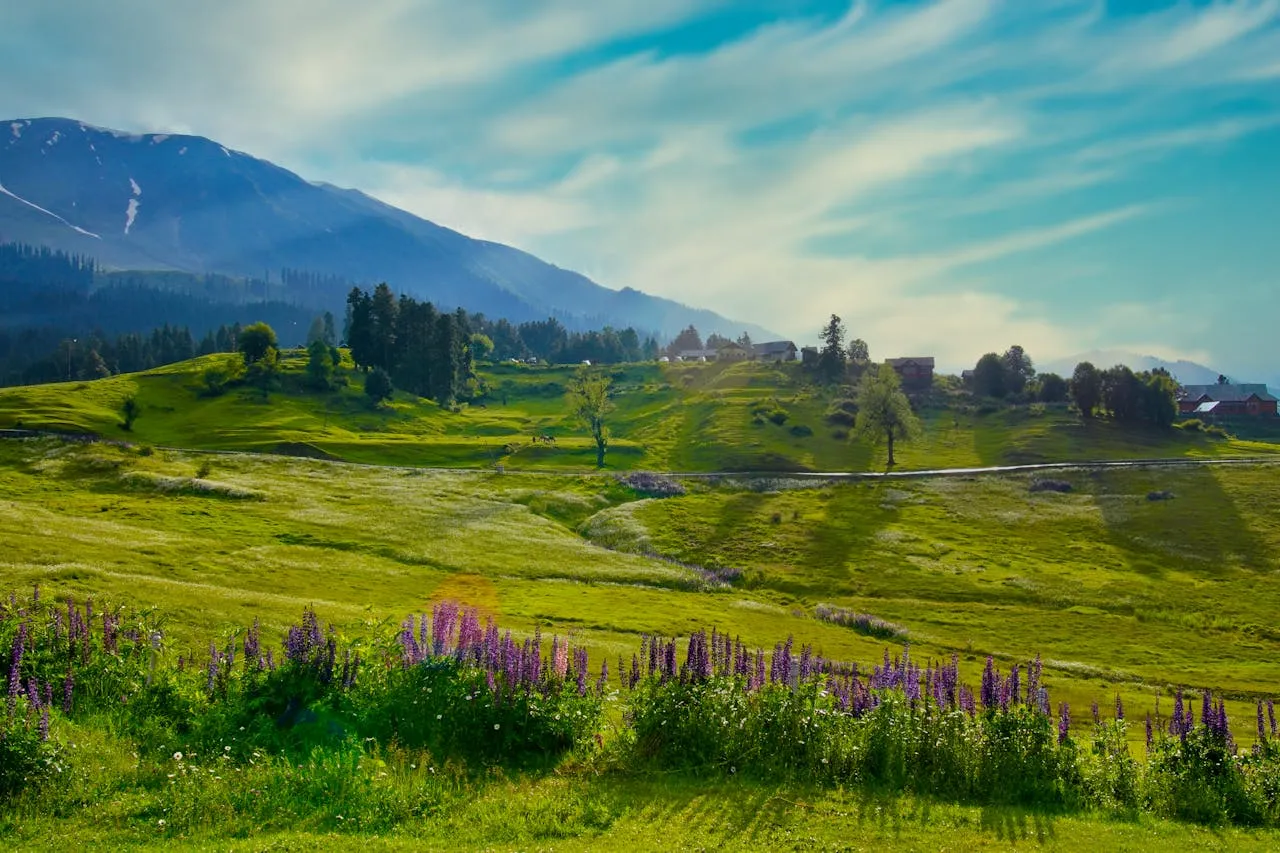 Pahalgam Valley