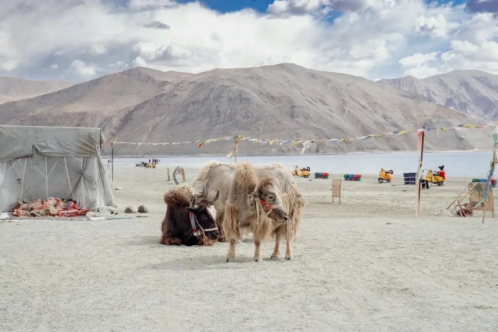 Ladakh Valley